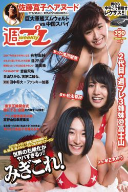 电视剧《雪迷宫》24集播放